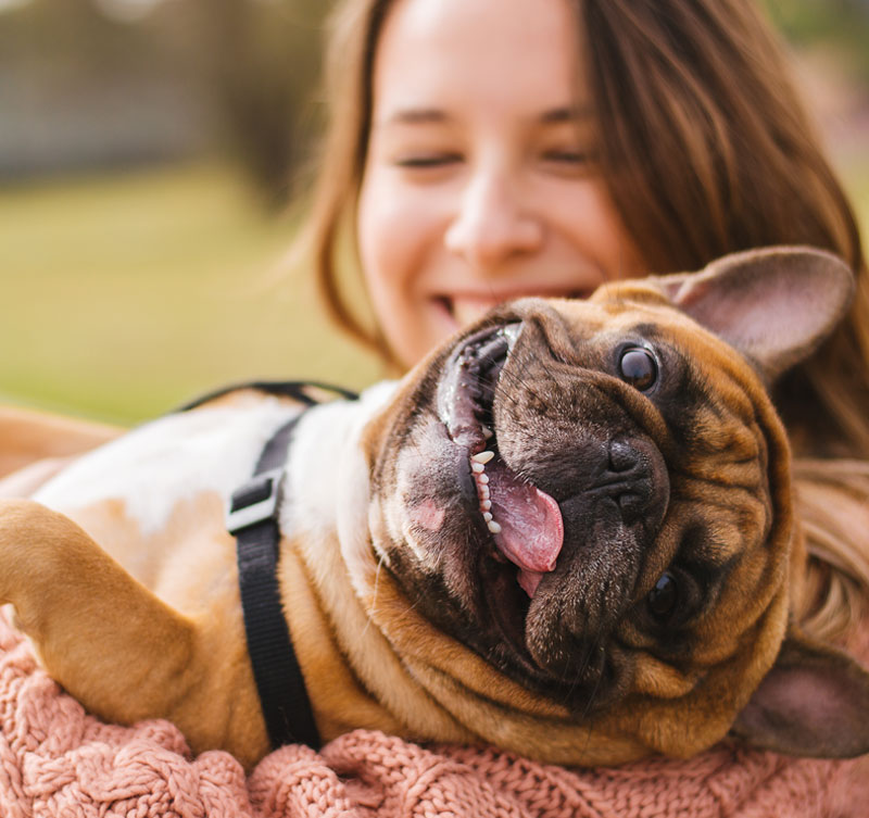A-Special-Perk Little dog with owner spend a day at the park playing and having fun