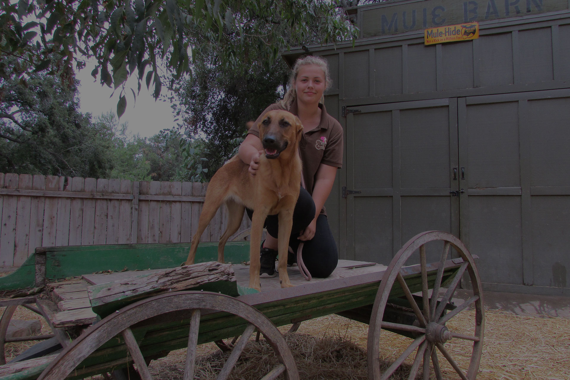Hanna with dog