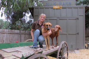 Technician with dogs