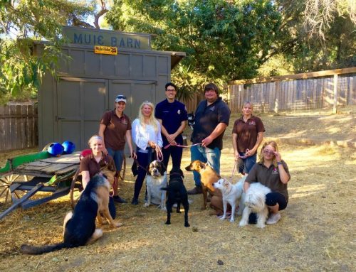 Indian Summer and Wildfire Preparedness.
