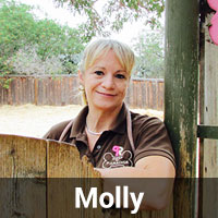 Molly