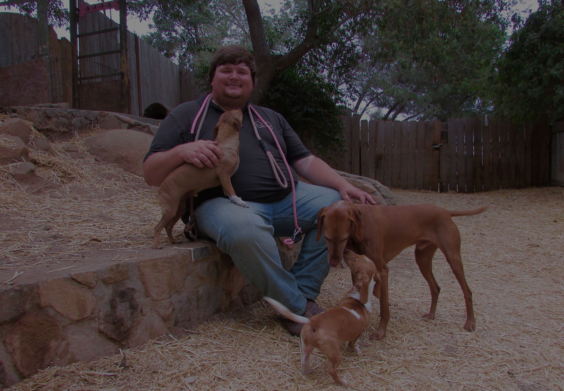 Taylor with dogs