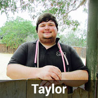 Taylor
