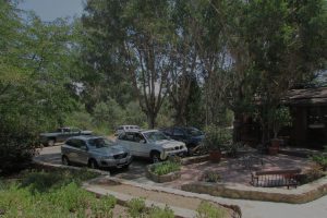 Cars parked outside Pet in paradise
