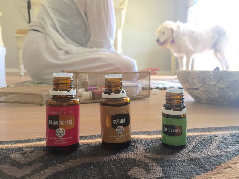 Integrative health for dogs